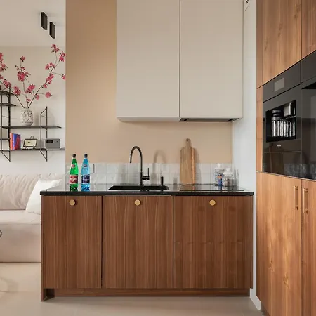 Natura Luxury Ii Apartman Iława